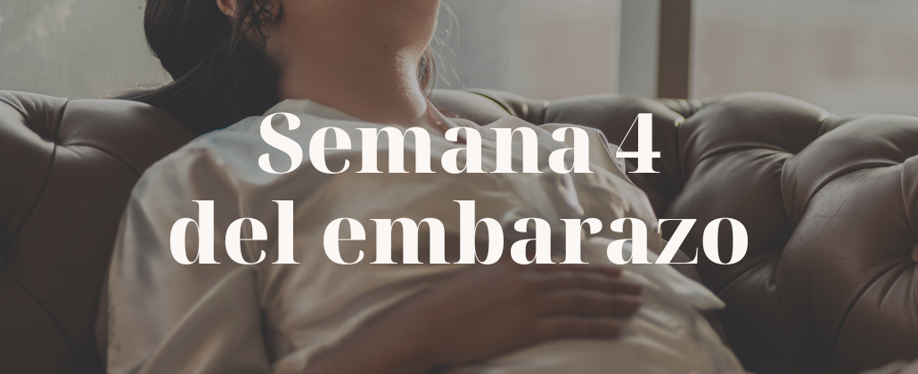 semana 4 de embarazo