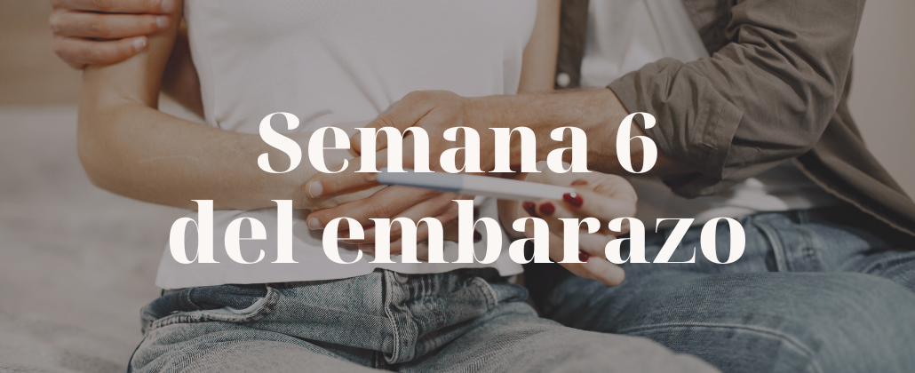 semana 6 embarazo